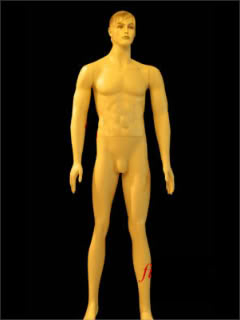 Mannequin Male Skin Color ms-23-s